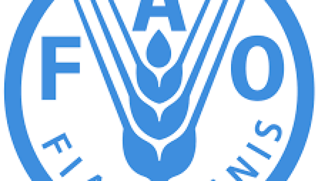 Technical Specialist in Soil Management and Fertility Vacancy-Job Ref: BJHNFAO/0306/2025807