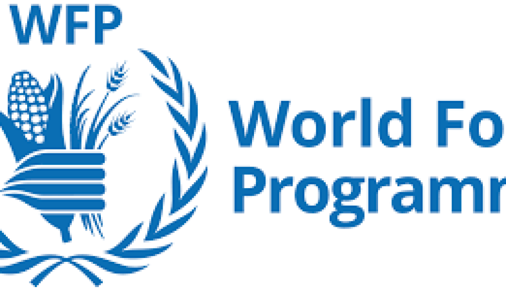 Technical Support Officer Vacancy-Job Ref: BJHNWFP/2007/2025825