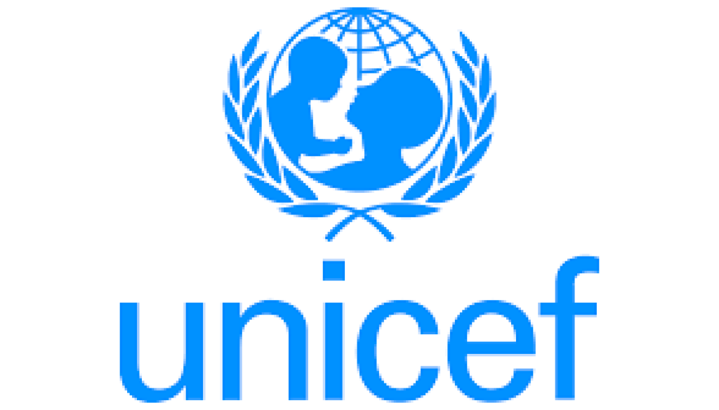 Program Assistant Vacancy-Job Ref: BJHNUNICEF/0107/2025818
